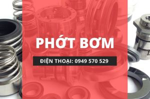 Tìm hiểu phớt bơm, khắc phục phớt bơm khi bị hỏng